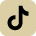 TikTok Logo